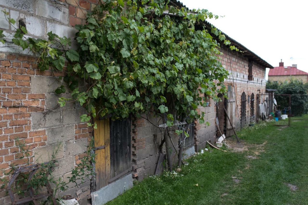 Agroturystyka Karpinscy Bauernhof Wizna